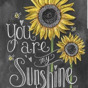 Meet your Posher, Sybil